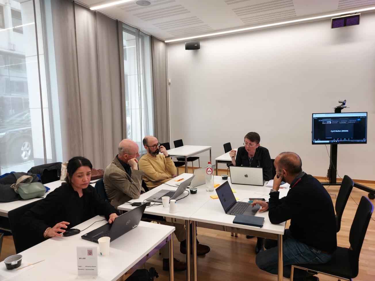 European workshop on coastal risks: the IRICOT project in Brussels