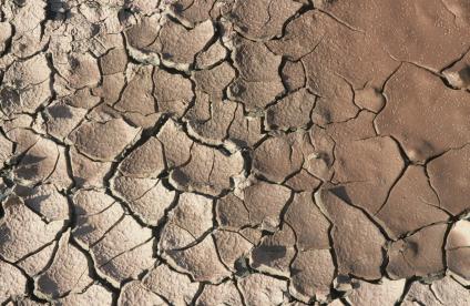 Vue rapprochée de fentes de dessiccation dans l'argile (2003).
