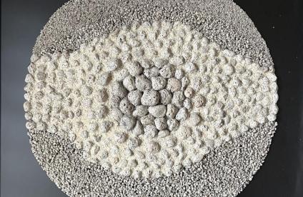 Quels renouvellements des études des catastrophes ? Mercredi 17 décembre 2025DR Quels renouvellements des études des catastrophes ? Mercredi 17 décembre 2025