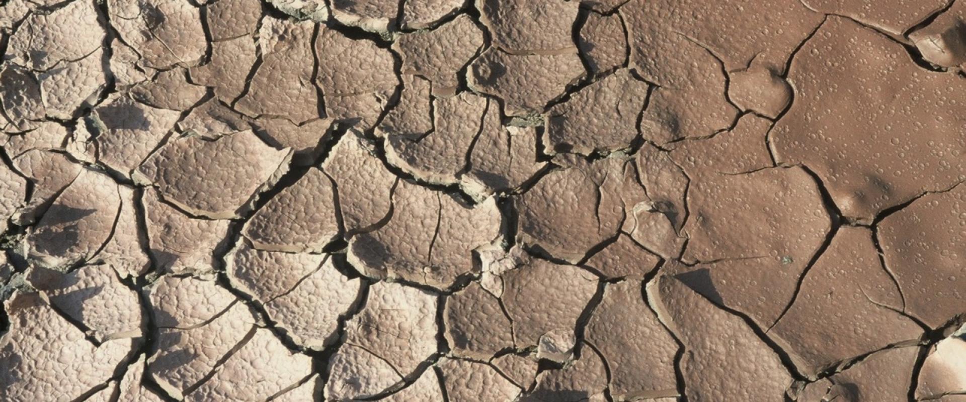 Vue rapprochée de fentes de dessiccation dans l'argile (2003).