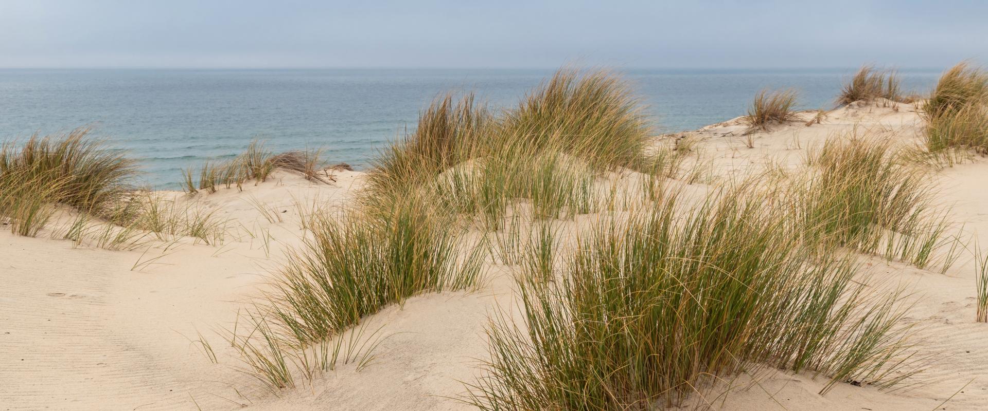 Dune de sable dans les Landes