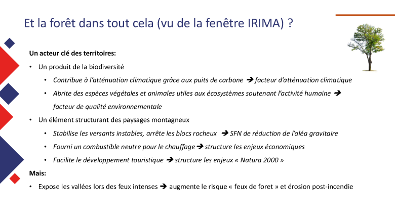 La forêt dans l'évaluation et la gestion des risques