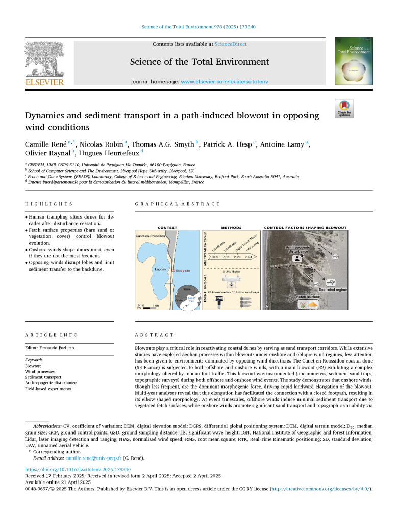 Dynamics and sediment transport in a path-induced blowout in opposing wind conditions